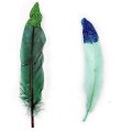 product_22740_image_75862.jpg