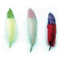 product_22740_image_75863.jpg