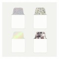 product_24212_image_83140.jpg