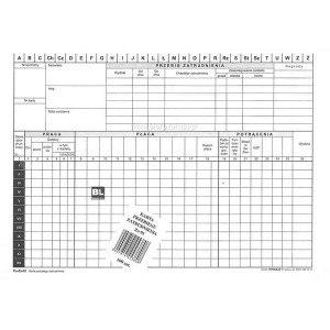 Druk ""Karta Przebiegu Zatrudnienia"" 2080 A4 TYPOGRAF 100szt. /02080/