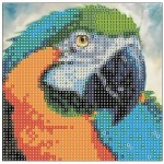 Mozaika diamentowa 5D KIT 20x20cm CENTRUM papuga 89624 /0452-6301-94/