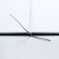 product_23391_image_76850.jpg