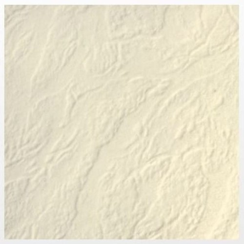 product_16916_image_66080.jpg