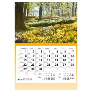 Terminarz ścienny MICHALCZYK I PROKOP 2024 /T-107S-2/