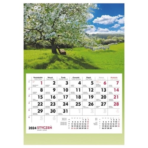 product_23601_image_77352.jpg