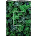 product_60853_image_133630.jpg