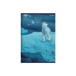 Zeszyt A5/80 kratka z marginesem TOP 2000 WINTER SAILOR MIX 1 szt. /400157933/