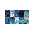 product_13568_image_57441.jpg
