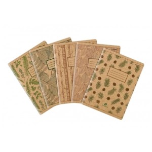 Zeszyt A5/60 kratka z marginesem TOP 2000 GO GREEN MIX 1szt. /400153377/