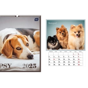 Kalendarz wieloplanszowy INTERDRUK 2025 psy 1szt. /KALŚCPPSY/