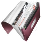 Teczka z 6 przegródkami LEITZ Style ciemnoczerwona /39570028/