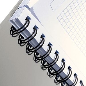 Kołozeszyt A4 Kratka 80 Kartek LEITZ Executive PP /44610000/