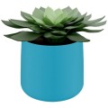 product_24241_image_43608.jpg