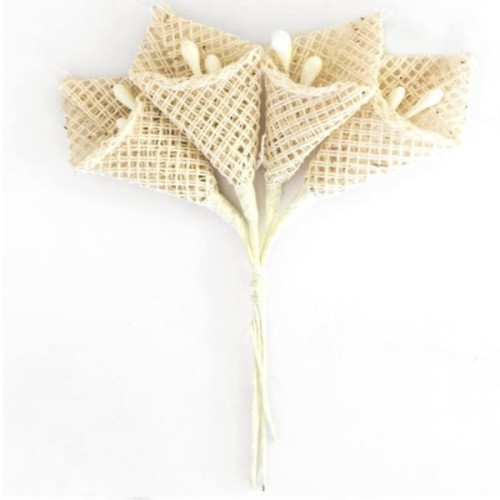 product_7142_image_40404.jpg