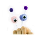 product_22665_image_75716.jpg