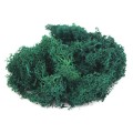 product_26023_image_86672.jpg