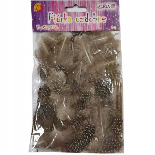 product_26081_image_86894.jpg