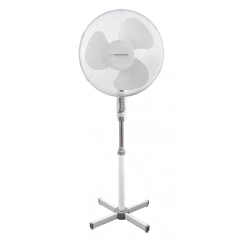 product_28315_image_91294.jpg