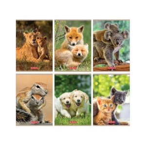 ZESZYT A5 32K TRZYLINIA KOLOROWA 70g BEZ MARGINESU OKŁADKA LAMINOWANA MATOWA HERLITZ ANIMALS MIX WZORÓW I KOLORÓW 1szt.