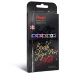 Pisaki pędzelkowe do kaligrafii i liternictwa BRUSH SIGN PEN ARTIST PENTEL 6szt. /SESF30C-ST6ABDFGSPL/