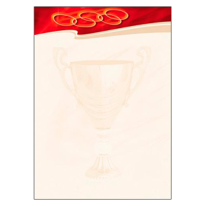 Papier ozdobny ARGO ""SPORT"" 170g /212317/