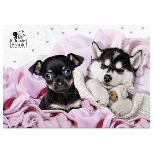 Podkład oklejany DERFORM CLEO I FRANK 38 (pies) 1szt. /POCF38/