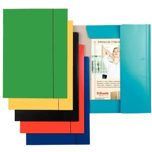 Teczka z gumką Esselte lakierowana zielona /13437/