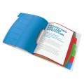 product_10295_image_39279.jpg
