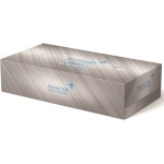 Chusteczki higieniczne VELVET PROFFESSIONAL karton 100szt /VLP-3100013/
