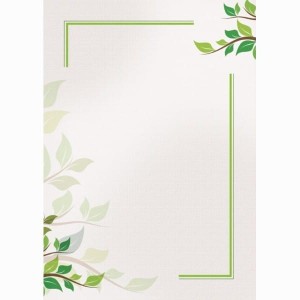 Papier ozdobny BARWNE ARKUSZE na dyplomy Biret N 170g 25szt -218317-